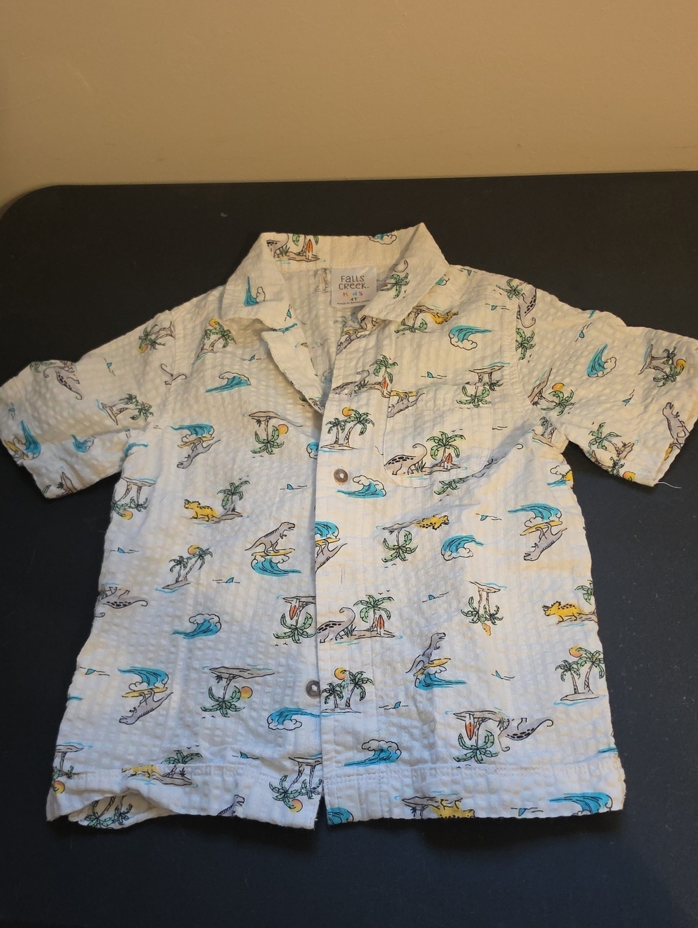 Falls Creek Boys Short Sleeve Button Down Top. In EUC - Picture 1 of 3